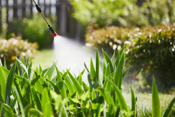 Tamper-Resistant Bait Stations for Rodents in Mechanicsville