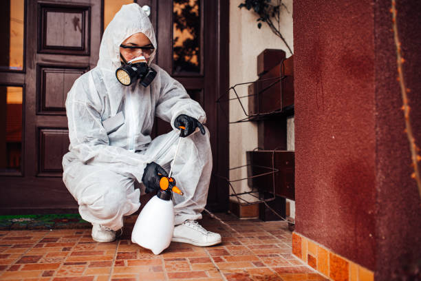 Attic and Crawl Space Rodent Treatment in Mechanicsville
