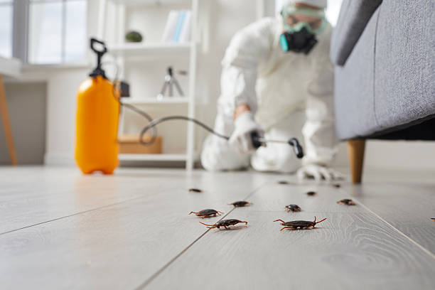 Commercial Rodent Management in Mechanicsville